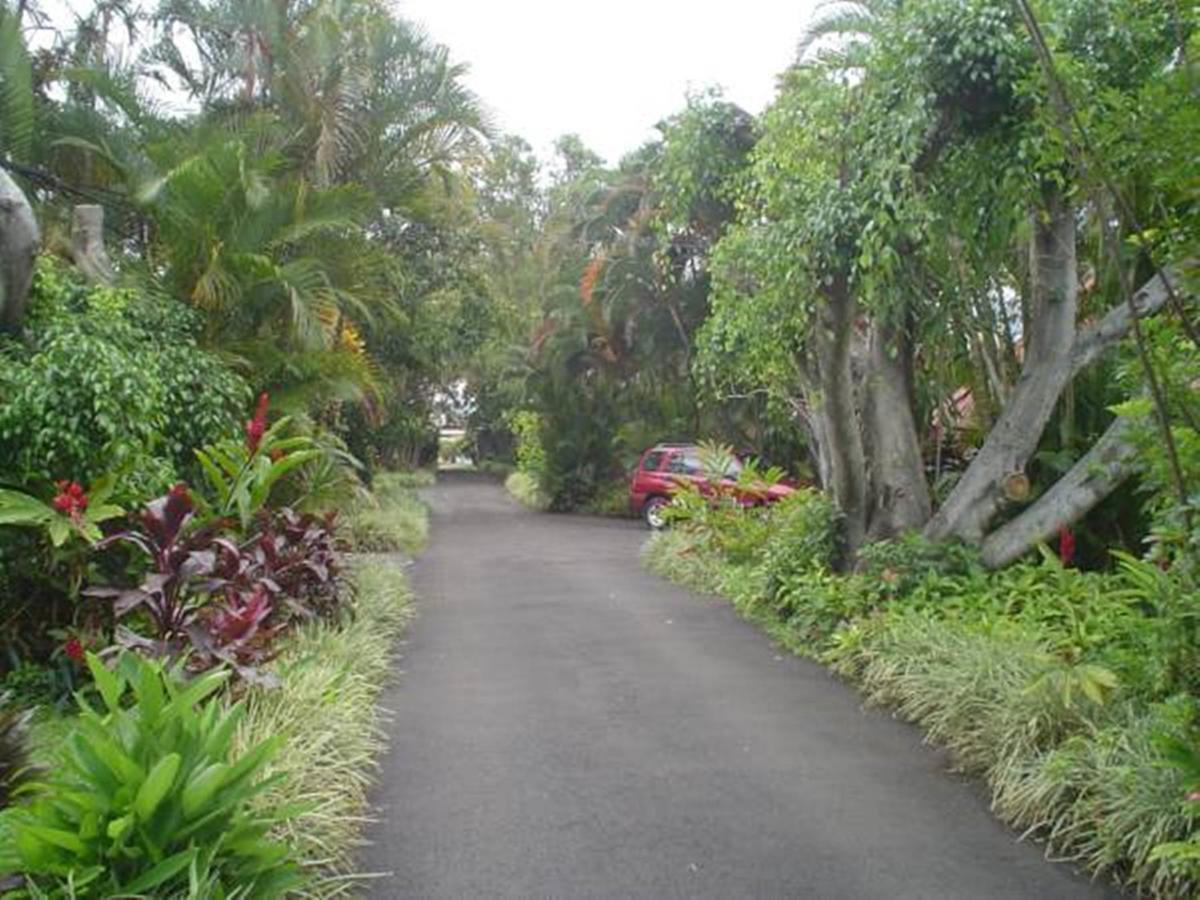 Hotel Villas Colibri Las Ciruelas  外观 照片